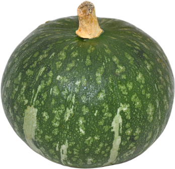 Kabocha Squash - Erewhon