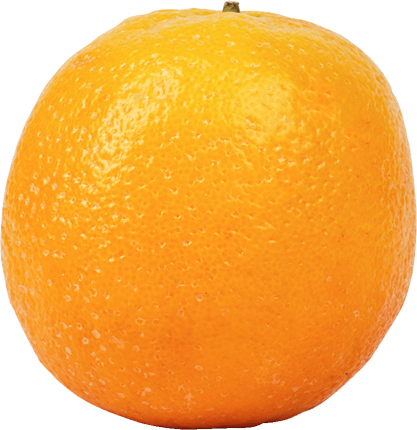 Valencia Oranges - Fresh Citrus - Erewhon