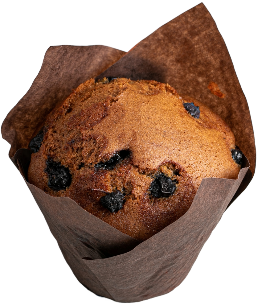 Blueberry Muffin