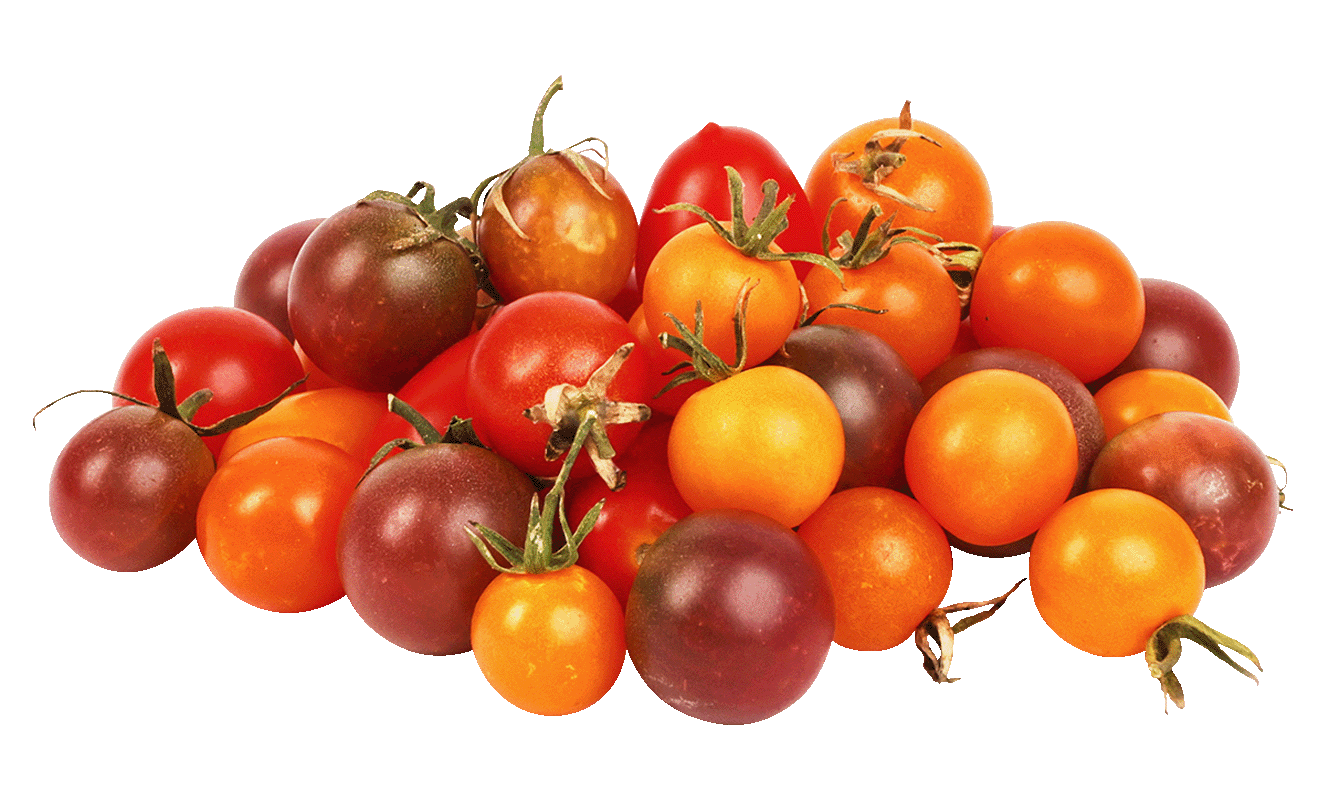 Cherry Tomato Medley - Erewhon