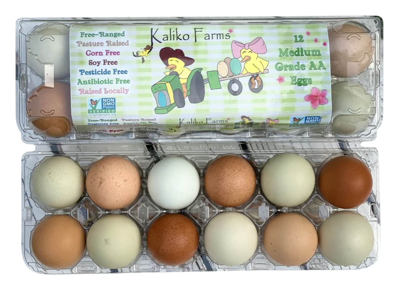 EggSchool フルセット EggSchool フルセット EggSchool フルセット EggSchool フルセット