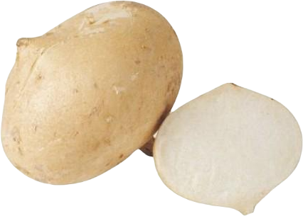 EREWHON エレオゥン Organic Cut Jicama - Erewhon