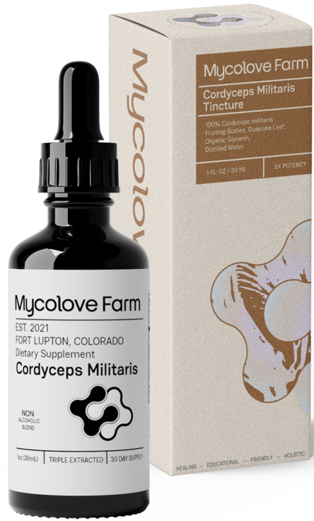 Cordyceps Tincture - Mycolove Farm